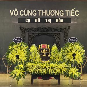 hoa tang le HTL13